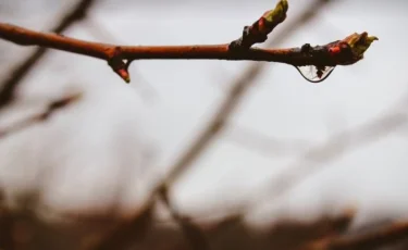 В Казахстане похолодает