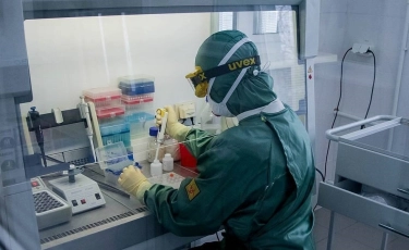 Число зараженных COVID-19 превысило тысячу в Азербайджане 