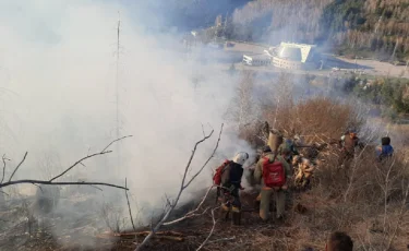 Алматыда қызыл жалынға оранған Мохнатка тауын өрт сөндірушілер әлі бақылауда