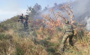 Алматыда Ерменсай шағын ауданындағы өрттің шығуына кінәлі адам анықталды