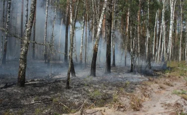 Чернобыль АЭС-і аймағындағы орман өрті сөндірілді