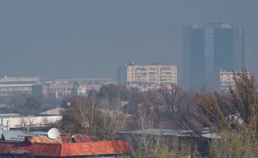 Алматының экологиялық жағдайы жақсармай тұр – министр