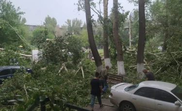 Мощный ураган с ливнем обрушился на Карагандинскую область