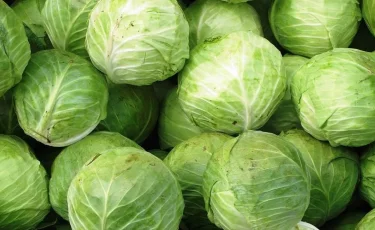 Ученые назвали продукт, "убивающий" коронавирус 