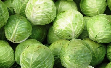 Ученые назвали продукт, "убивающий" коронавирус 