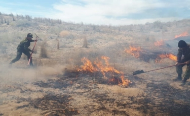 Жамбыл облысында өртті төрт тәулік бойы сөндіріп жатыр  