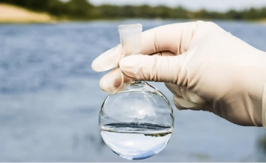 За какое время COVID-19 погибает в воде