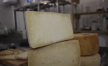 Сыр и вино из сорняков: студенты разработали уникальную технологию 