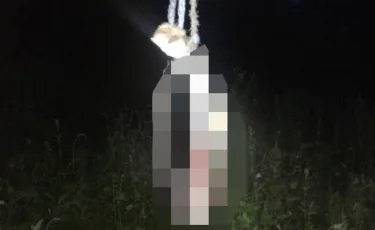 Жители СКО убили и съели собаку, которую хозяин отдал им вместо денежного долга 