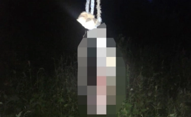 Жители СКО убили и съели собаку, которую хозяин отдал им вместо денежного долга 