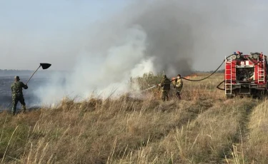 Бір аптада ел аумағында 208 орман өрті тіркелді