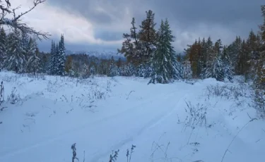 Восточно-Казахстанскую область засыпало снегом