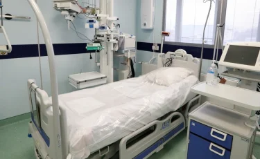 В Казахстане за сутки выявили 232 случая заболевания пневмонией