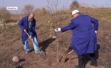 Желтоксановцы и представители акимата посадили деревья в историческом месте Алматы 