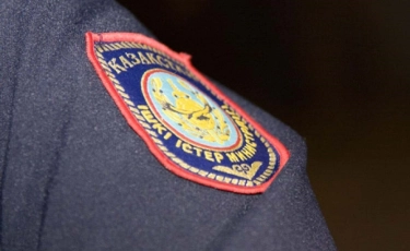 Более 24 тысяч уголовных дел расследовали алматинские полицейские с начала года