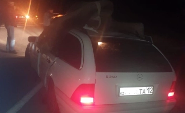 Маңғыстауда көлік түйеге соғылып, 1 адам мерт болды