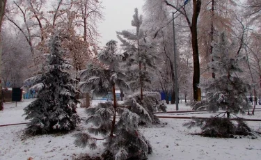 Алматы қаласы бойынша 23-29 қарашаға арналған ауа райы болжамы