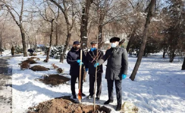 В Алматы ко Дню благодарности руководители этнокультурных объединений провели посадку Аллеи АНК