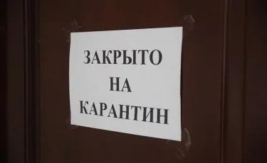 Шағын және орта бизнеске қатаң шектеулер енгізгені дұрыс шешім – Ольга Ким