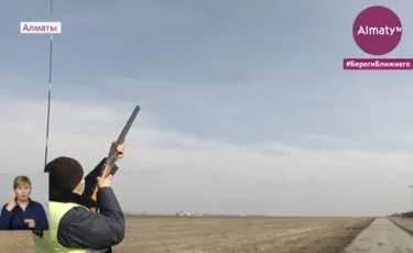 Нашествие птиц: орнитологи аэропорта обратились к нескольким районным акиматам Алматинской области