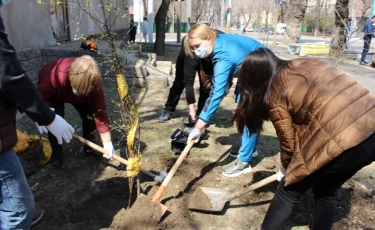 Жасыл аула: Алматыда көшеттерді тұрғындарға тегін таратып жатыр