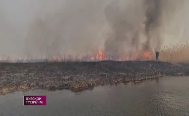 Алматы облысындағы алапат өрт өшірілді