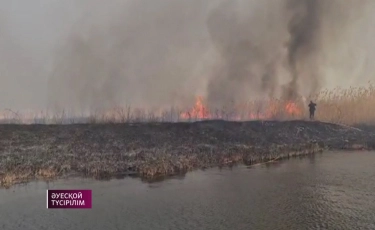 Пожар в Алматинской области: борьба с огнем длилась более трех дней 