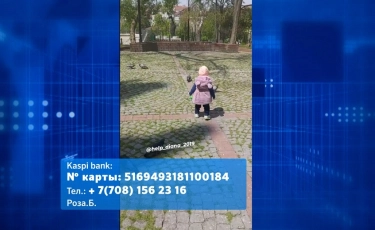 Спасем жизнь малышке: у полуторагодовалой Дианы из Алматы рак крови 