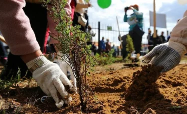 Б. Сағынтаев жасыл желектерді суаруға бақылауды күшейтуді тапсырды