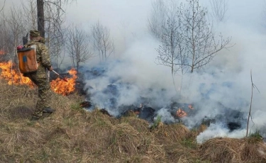ШҚО-да кенттегі тілсіз өрт сөндірілді, орманда жалынмен күрес жалғасып жатыр  