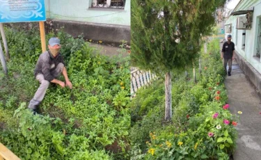 Заключенный, осужденный за убийство, вырастил цветочный сад в колонии Шымкента