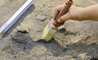 Ученые обнаружили в Якутии двух замерзших пещерных львят 