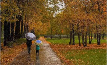 Еліміздің басым бөлігінде күн суытады