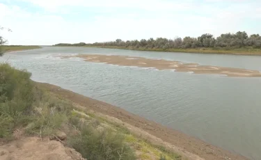 Тартылып бара жатқан Жайық өзенінің әр тұсында аралдар пайда болған 