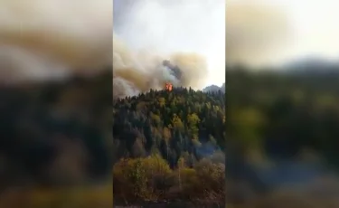 Крупный пожар произошел в Коринском ущелье в Алматинской области