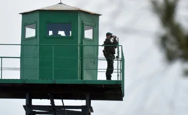 Ауғанстанның екі азаматына шекараны кесіп өтуге көмектескен қазақстандық ұсталды  