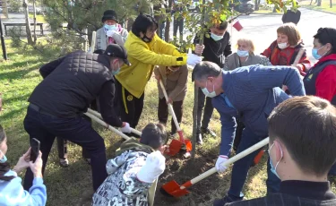 Әуезов ауданында айрықша акция аясында сенбілік өтті