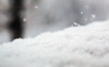 Дождь, снег и туман: в ДЧС предупредили алматинцев о непогоде в горах 