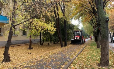 Алматыда көшені қардан тазартуға 1073 жұмысшы шықты