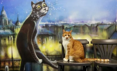 Найденный кот получил должность смотрителя музея