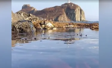 Назад в будущее: в соцсетях обсуждают ролики из 2027 года