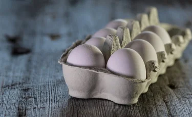 Қызылорда облысында дәрігерлерге жұмыртқа лақтырған әйел жазаланды