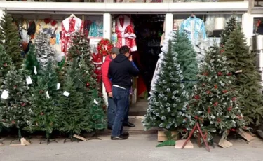В Шымкенте подорожали новогодние елки