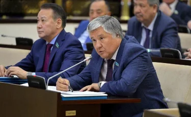 Сенатта ел бюджетінің кірісін қалай арттыруға болатыны айтылды  