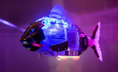 Рыбу-робота из клеток сердца человека создали ученые