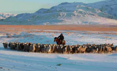 Атырау облысында 66 жастағы ер адам жоғалып кетті