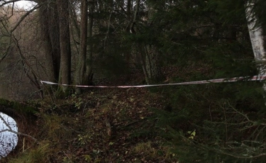 Орман алқабынан 27 жастағы әйелдің мәйіті табылды