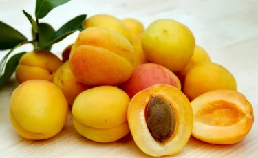 Эндокринолог назвала помогающие сохранить молодость фрукты
