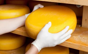 Производители в шоке: воры украли 1,5 тонны сыра на 23 тыс. долларов