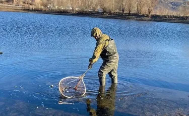 Шығыс Қазақстанда тоғанда балық жаппай қырылды  